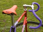 Grass track racing