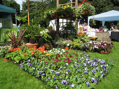 Photo of garden festival