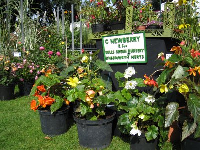 Photo of garden festival